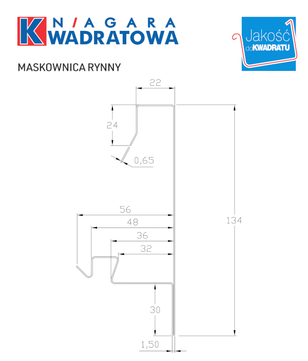 widok projektu maskownicy rynny