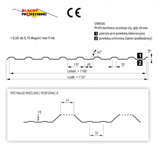 blachy-trapezoweT18DR-DACH